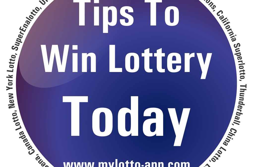 How to Win the Lottery - 7 Time Lottery Winner Reveals His Nine Tips - The  Jerusalem Post